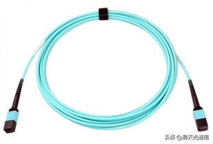 8芯 vs 12芯MPO光纤跳线 哪种更适合40G网络布线？